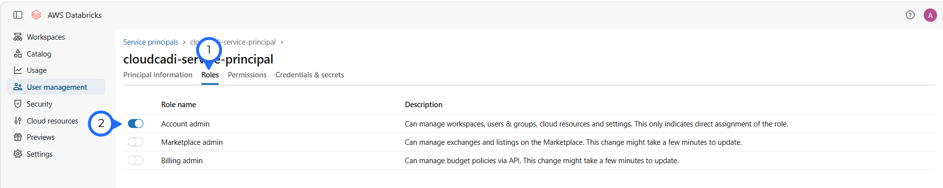 Assign account admin role