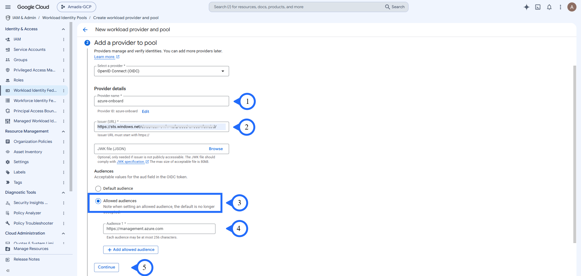Enter issuer URL and allowed audience