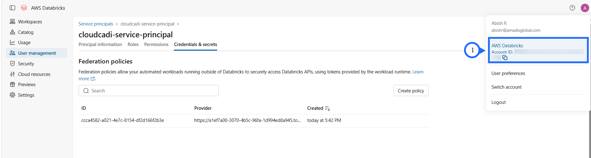 Copy Databricks account ID
