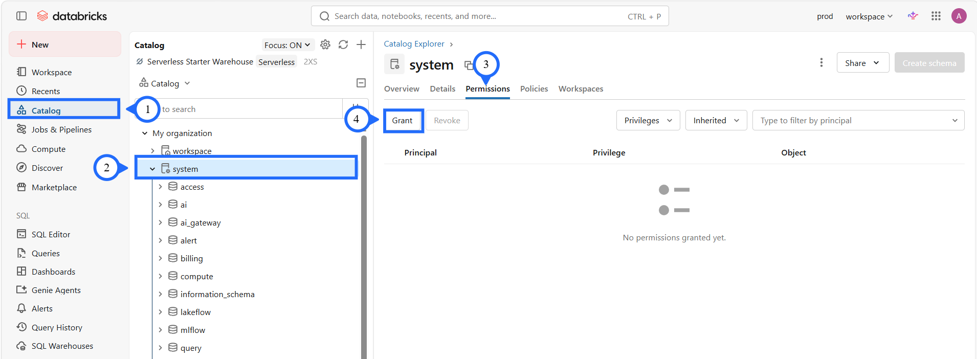 Grant permissions on system catalog